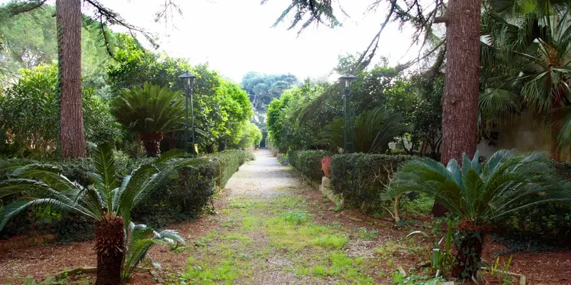 Masseria La Macchiola – Spongano