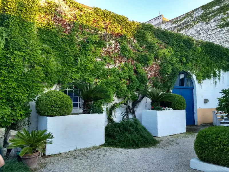 Masseria La Macchiola – Spongano