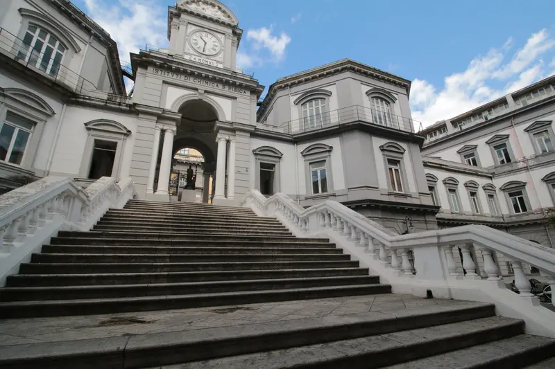Università degli Studi di Napoli Federico II